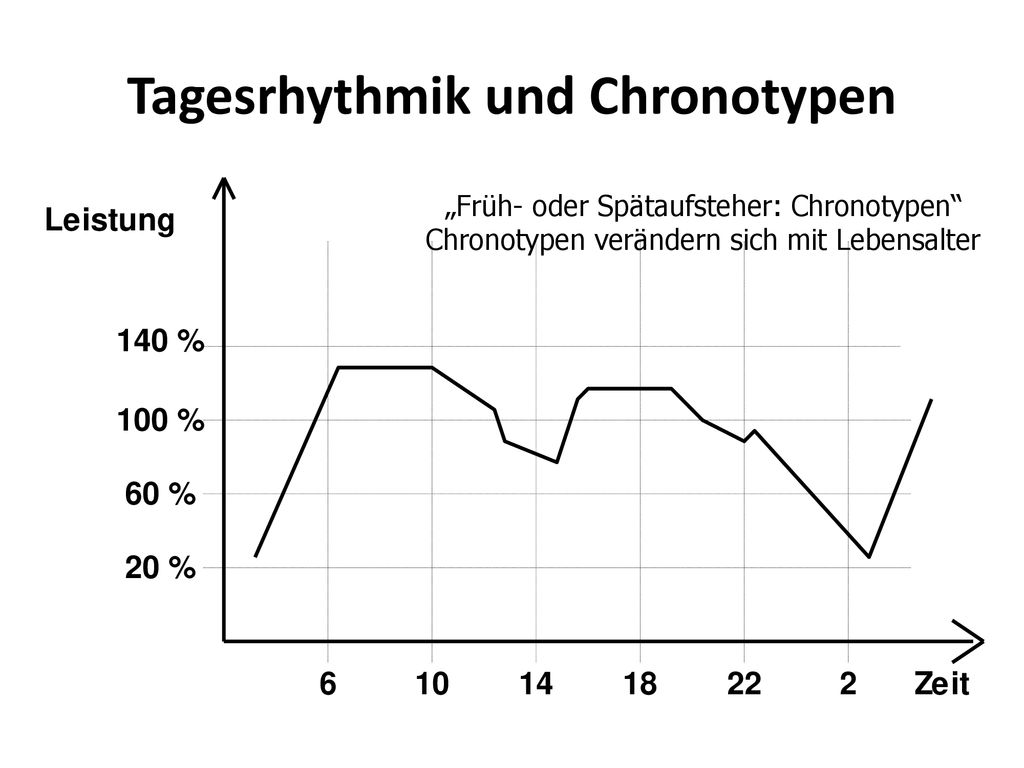 Tagesrhythmik und Chronotypen