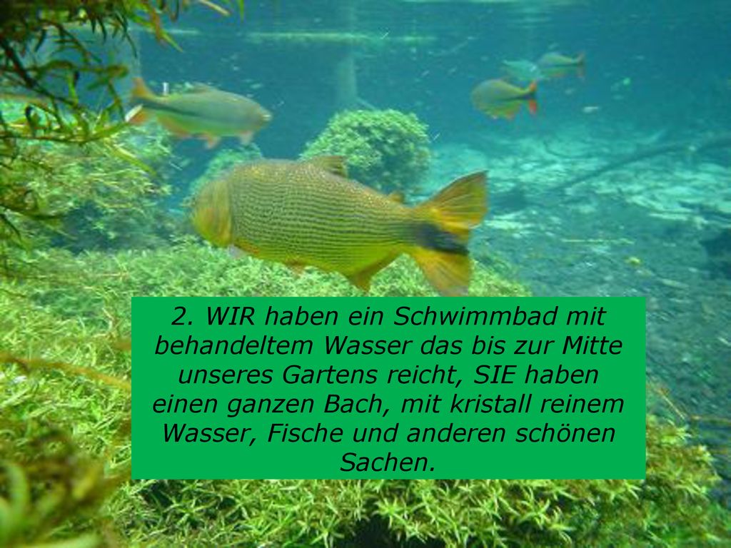 2. WIR haben ein Schwimmbad mit behandeltem Wasser das bis zur Mitte unseres Gartens reicht, SIE haben