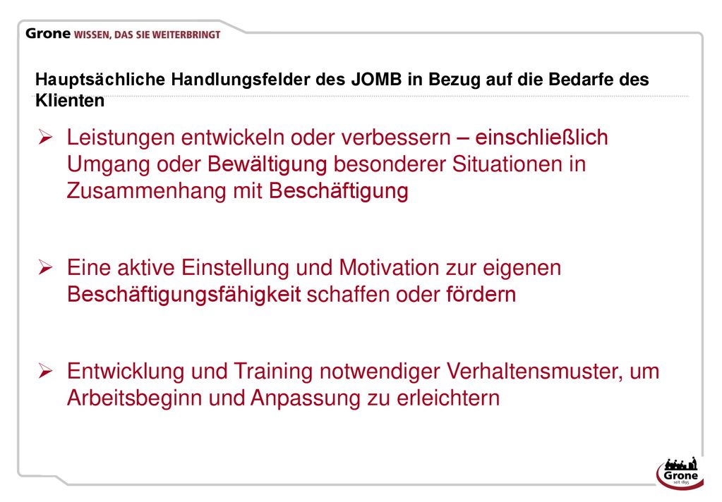 Hauptsächliche Handlungsfelder des JOMB in Bezug auf die Bedarfe des Klienten