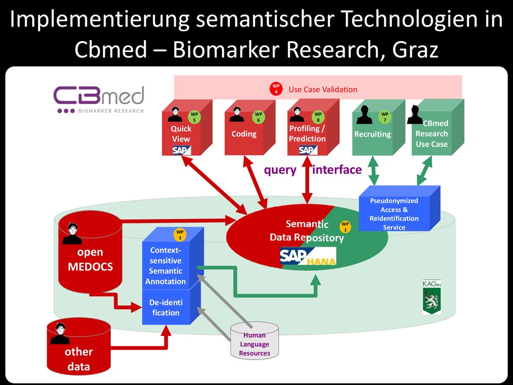 Implementierung semantischer Technologien in Cbmed – Biomarker Research, Graz