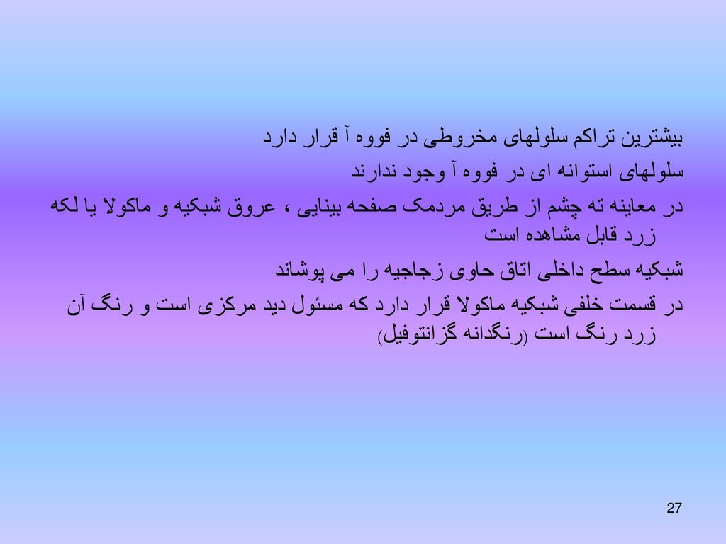 بیشترین تراکم سلولهای مخروطی در فووه آ قرار دارد سلولهای استوانه ای در فووه آ وجود ندارند در معاینه ته چشم از طریق مردمک صفحه بینایی ، عروق شبکیه و ماکولا یا لکه زرد قابل مشاهده است شبکیه سطح داخلی اتاق حاوی زجاجیه را می پوشاند در قسمت خلفی شبکیه ماکولا قرار دارد که مسئول دید مرکزی است و رنگ آن زرد رنگ است (رنگدانه گزانتوفیل)