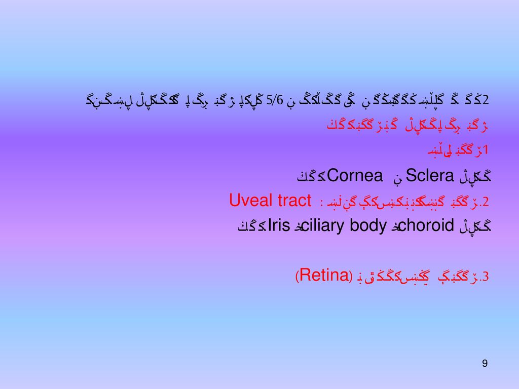 2.بخش خلفی بزرگتر و غیر شفاف و 5/6 تمام کره چشم را شامل می شود کره چشم شامل سه پرده است 1.پرده لیفی شامل Sclera و Cornea است 2.