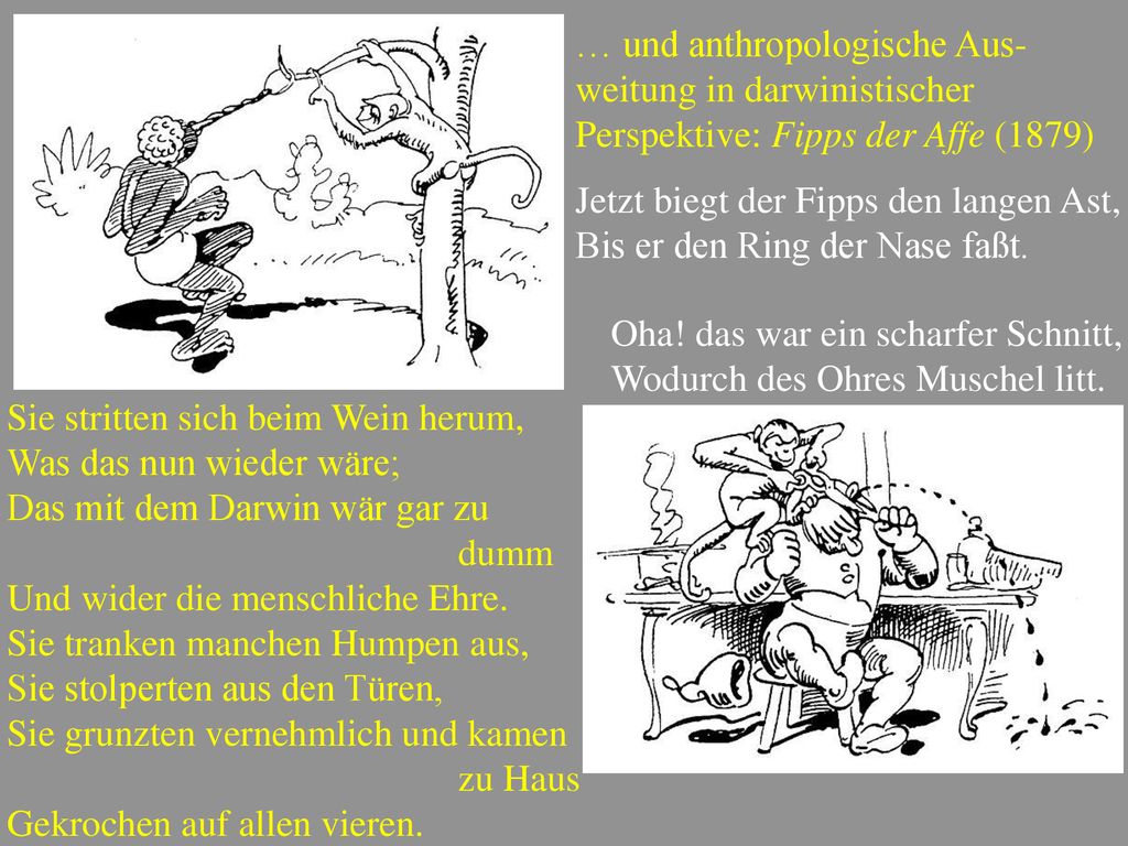 … und anthropologische Aus-weitung in darwinistischer Perspektive: Fipps der Affe (1879)
