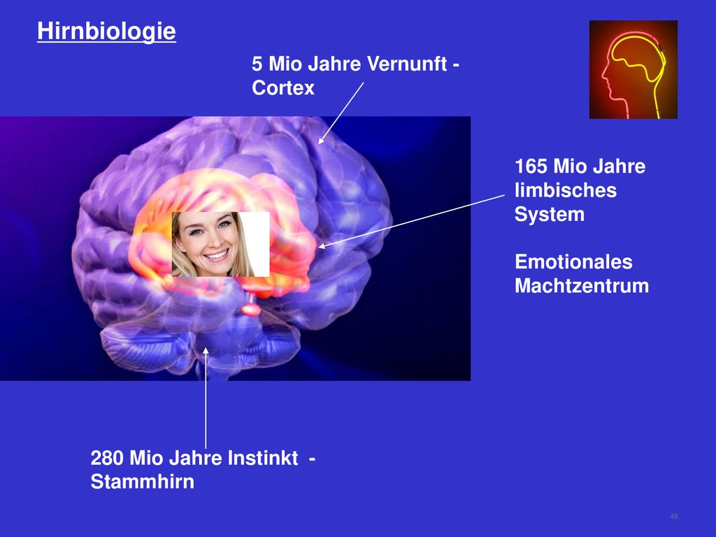 Hirnbiologie 5 Mio Jahre Vernunft - Cortex