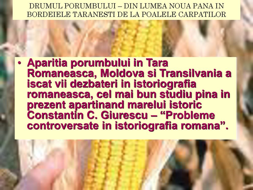 DRUMUL PORUMBULUI – DIN LUMEA NOUA PANA IN BORDEIELE TARANESTI DE LA POALELE CARPATILOR