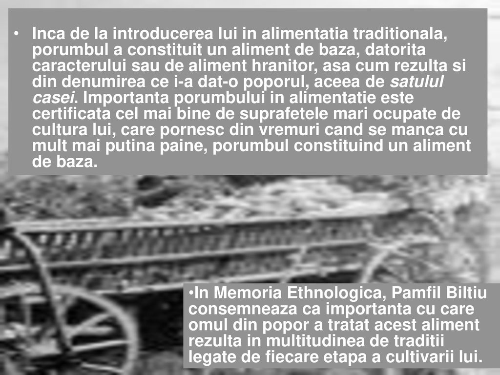 Inca de la introducerea lui in alimentatia traditionala, porumbul a constituit un aliment de baza, datorita caracterului sau de aliment hranitor, asa cum rezulta si din denumirea ce i-a dat-o poporul, aceea de satulul casei. Importanta porumbului in alimentatie este certificata cel mai bine de suprafetele mari ocupate de cultura lui, care pornesc din vremuri cand se manca cu mult mai putina paine, porumbul constituind un aliment de baza.