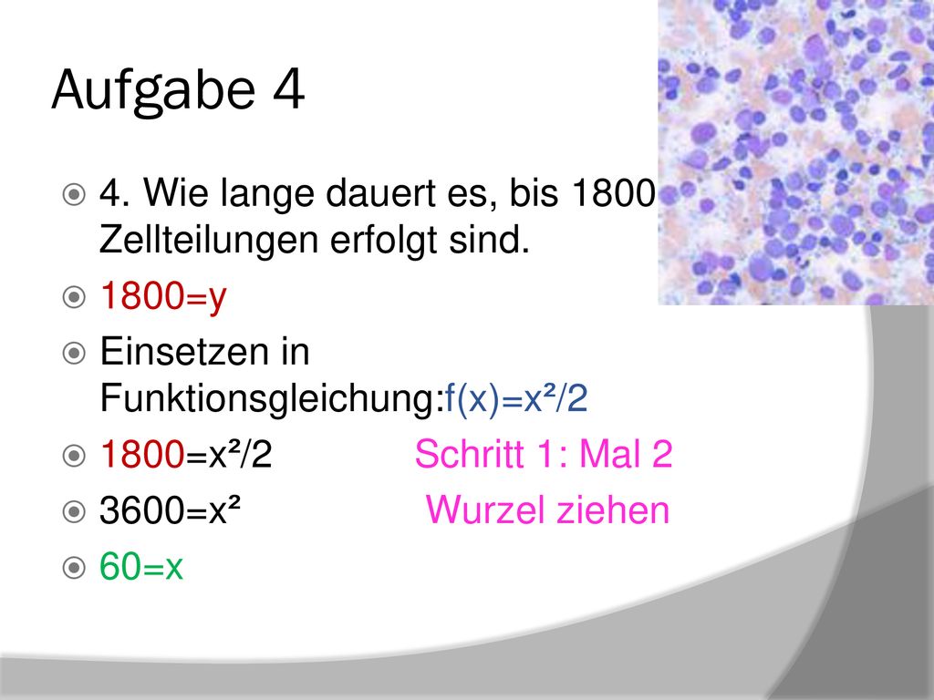 Aufgabe 4 4. Wie lange dauert es, bis 1800 Zellteilungen erfolgt sind.