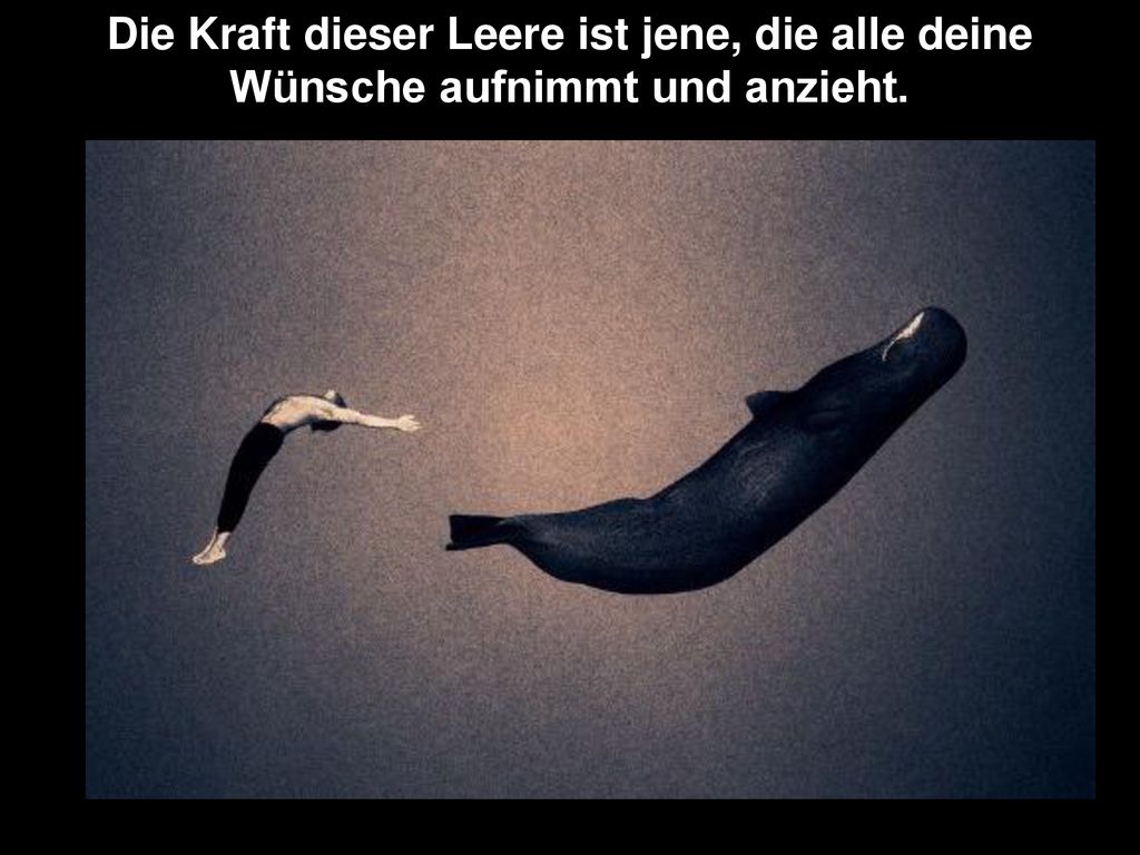 Die Kraft dieser Leere ist jene, die alle deine Wünsche aufnimmt und anzieht.