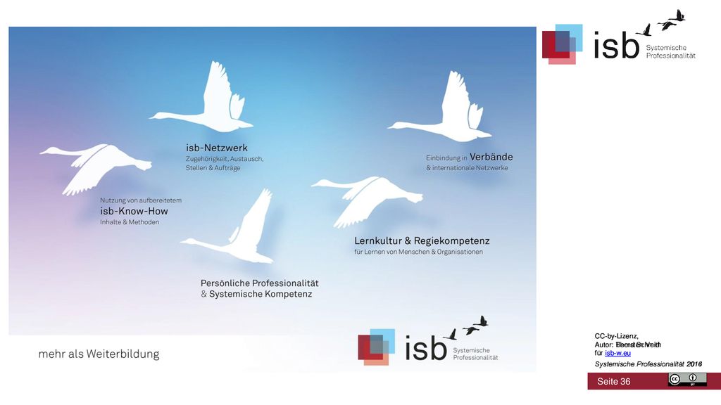 CC-by-Lizenz, Autor: Bernd Schmid. für isb-w.eu. Systemische Professionalität CC-by-Lizenz,