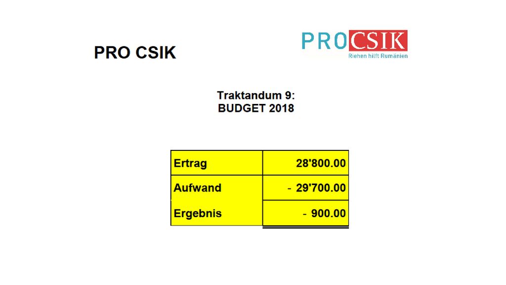 Der Vorstand präsentiert der Mitgliederversammlung ein Budget, welches mit einem Minus von 900 Franken abschliesst.