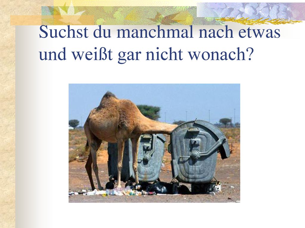 Suchst du manchmal nach etwas und weißt gar nicht wonach