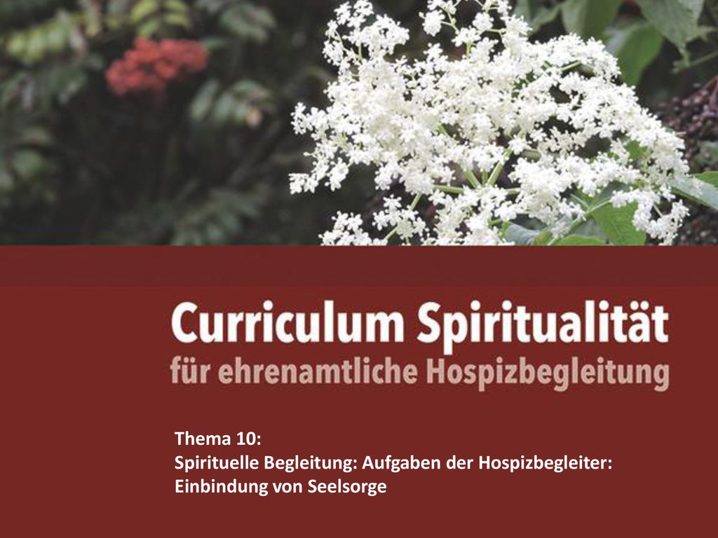 Thema 10: Spirituelle Begleitung: Aufgaben der Hospizbegleiter: Einbindung von Seelsorge