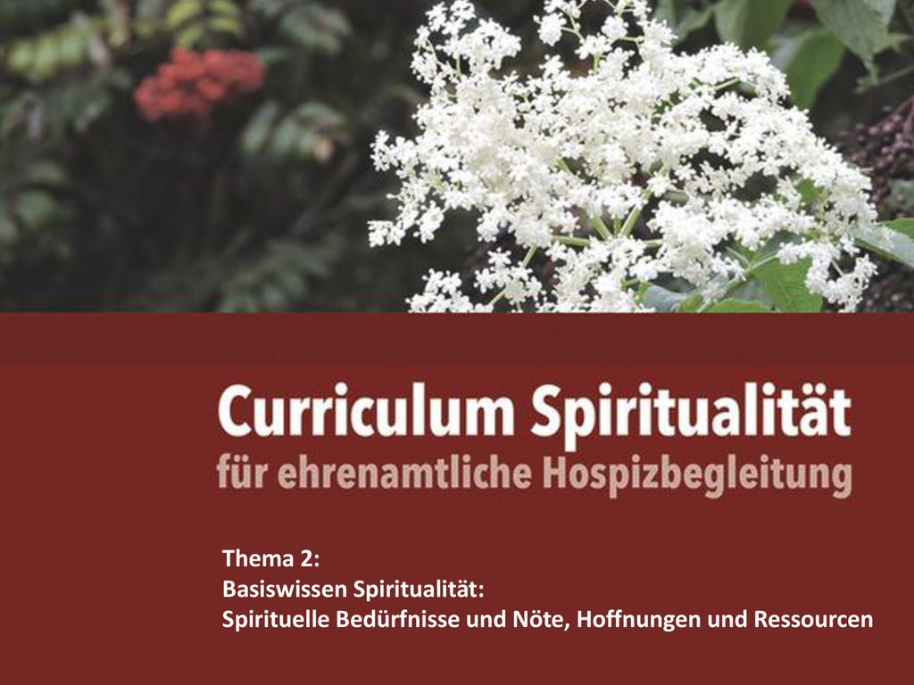 Thema 2: Basiswissen Spiritualität: Spirituelle Bedürfnisse und Nöte, Hoffnungen und Ressourcen