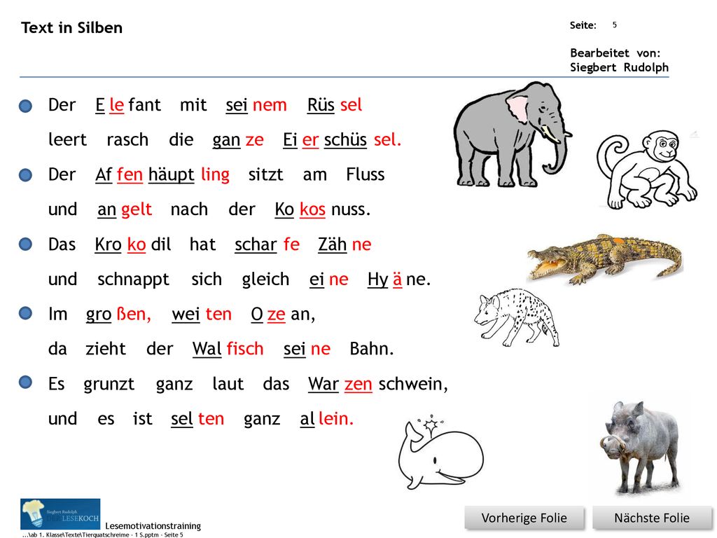 Der E le fant mit sei nem Rüs sel leert rasch die gan ze Ei er schüs