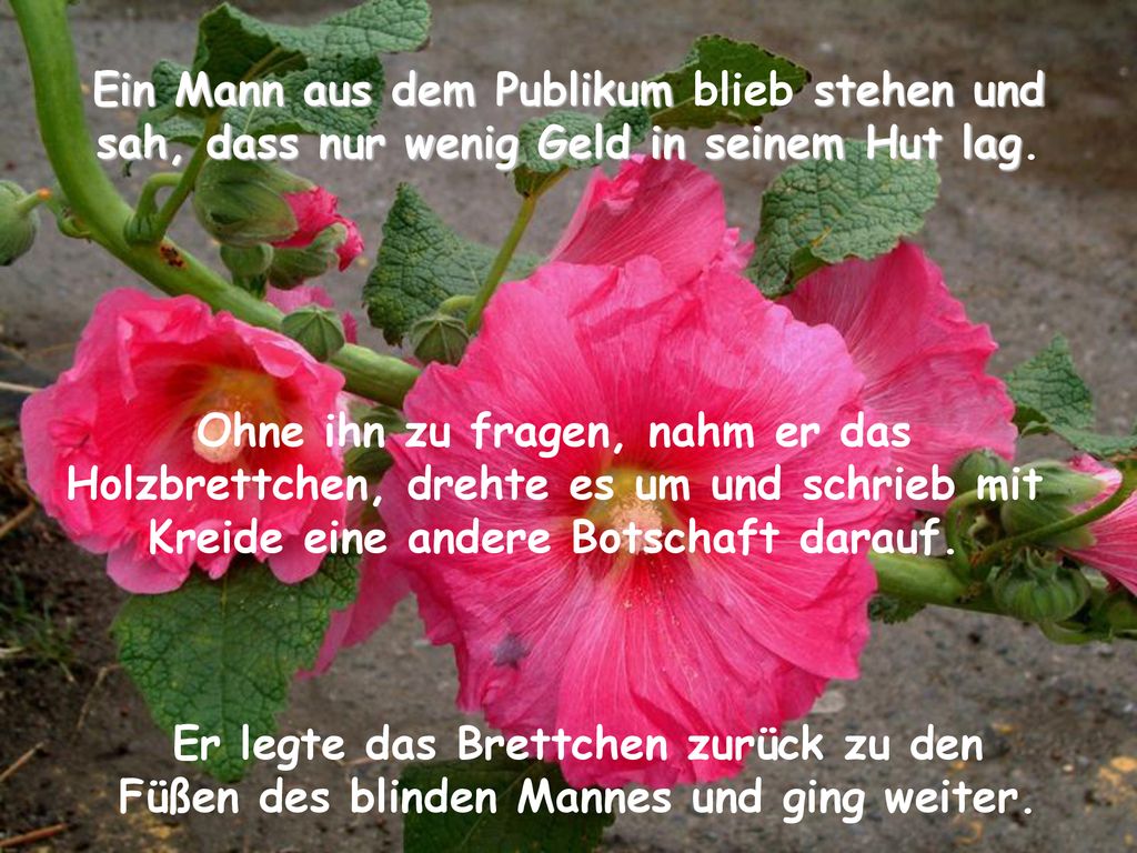 Ein Mann aus dem Publikum blieb stehen und sah, dass nur wenig Geld in seinem Hut lag.