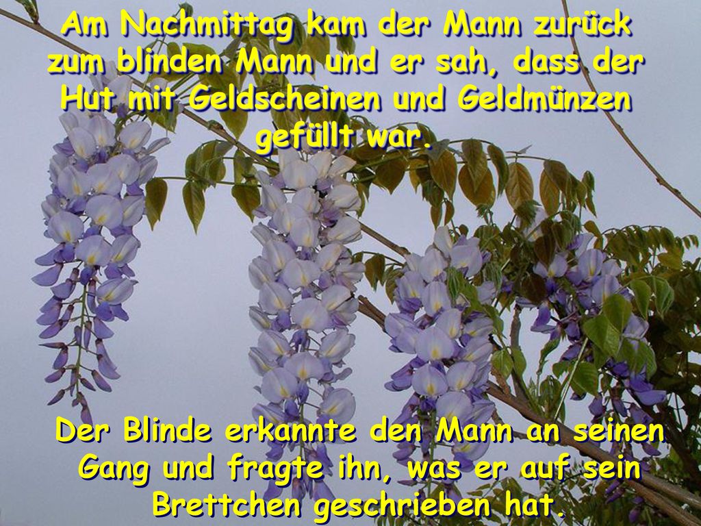 Am Nachmittag kam der Mann zurück zum blinden Mann und er sah, dass der Hut mit Geldscheinen und Geldmünzen gefüllt war.