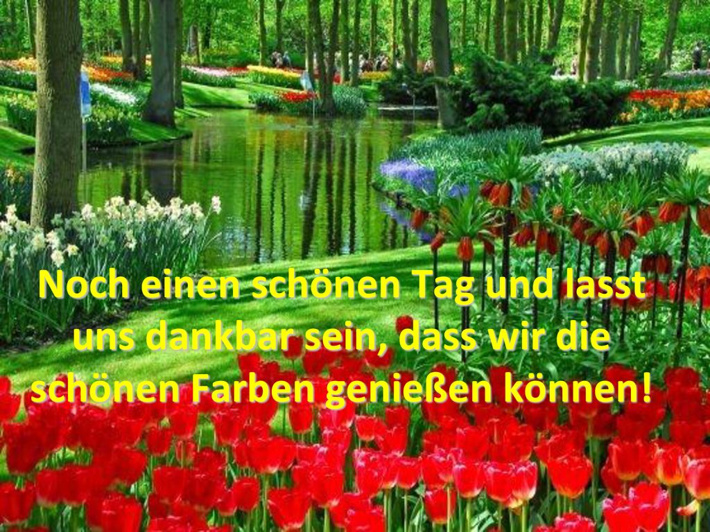 Noch einen schönen Tag und lasst uns dankbar sein, dass wir die schönen Farben genießen können!