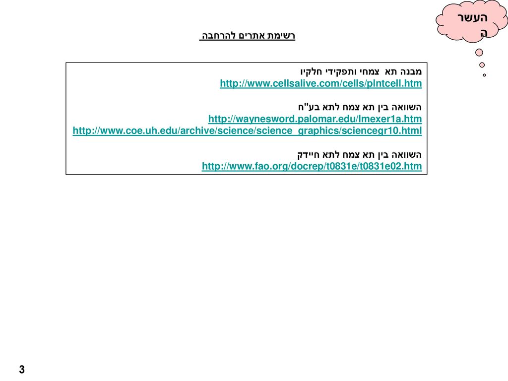 העשרה 3 רשימת אתרים להרחבה מבנה תא צמחי ותפקידי חלקיו