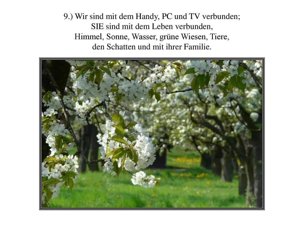 9.) Wir sind mit dem Handy, PC und TV verbunden;