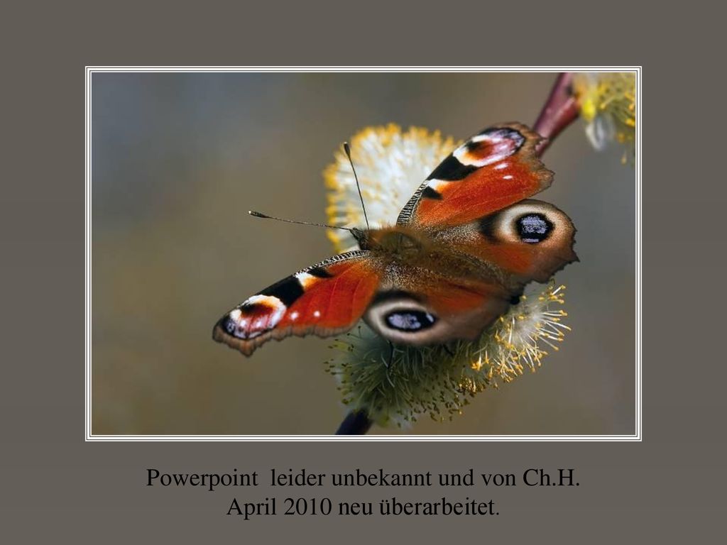 Powerpoint leider unbekannt und von Ch.H. April 2010 neu überarbeitet.