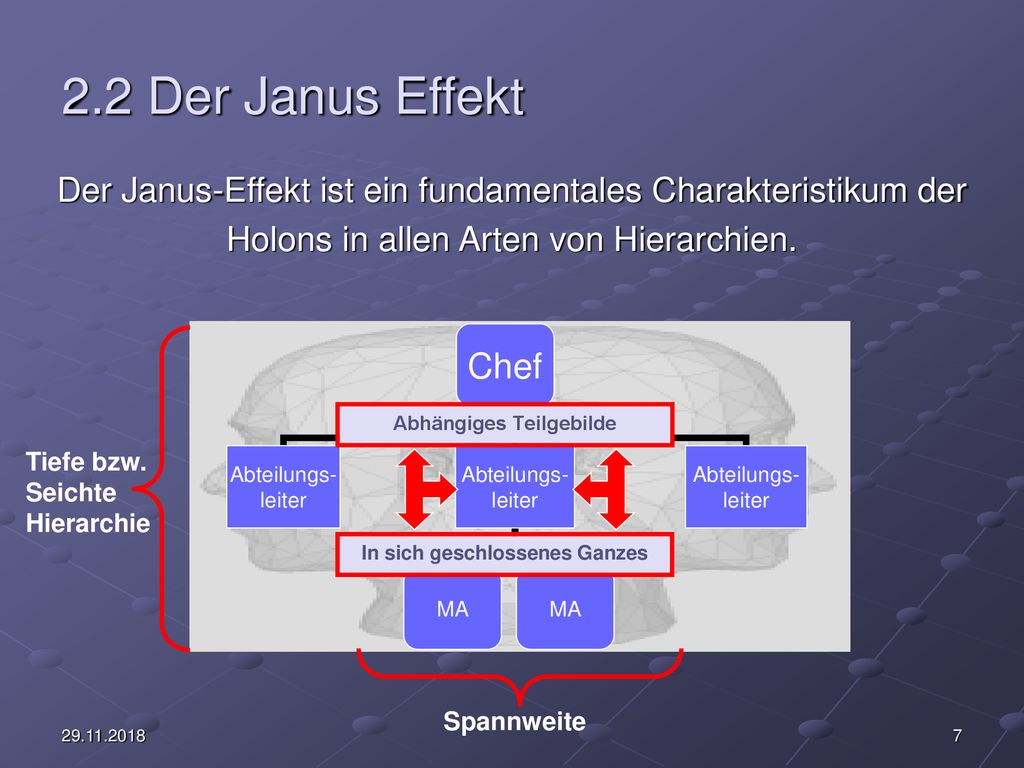 2.2 Der Janus Effekt Der Janus-Effekt ist ein fundamentales Charakteristikum der. Holons in allen Arten von Hierarchien.