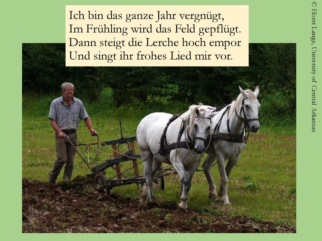Ich bin das ganze Jahr vergnügt, Im Frühling wird das Feld gepflügt