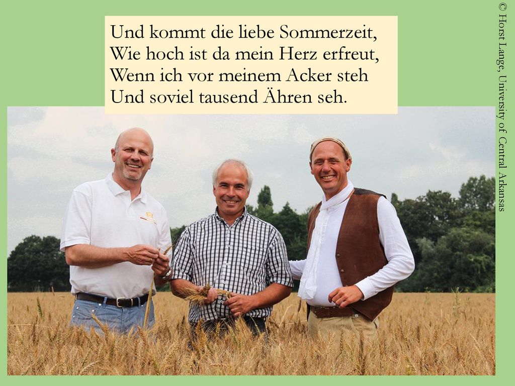 Und kommt die liebe Sommerzeit, Wie hoch ist da mein Herz erfreut, Wenn ich vor meinem Acker steh Und soviel tausend Ähren seh.