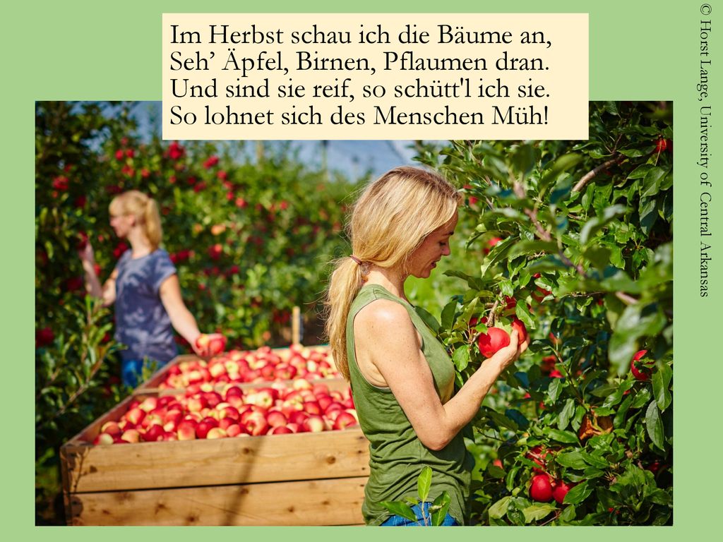 Im Herbst schau ich die Bäume an, Seh’ Äpfel, Birnen, Pflaumen dran