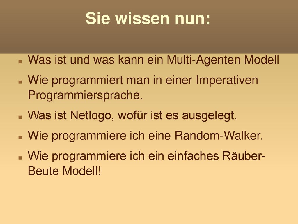 Sie wissen nun: Was ist und was kann ein Multi-Agenten Modell