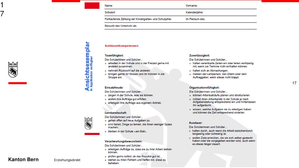 Hier die Erläuterungen, was unter den Begriffen Im Portfolio-Formular zu verstehen ist.