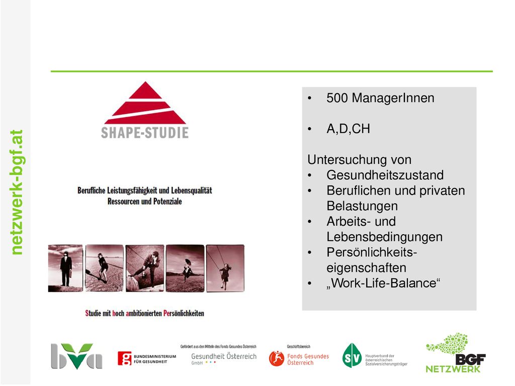 500 ManagerInnen A,D,CH. Untersuchung von. Gesundheitszustand. Beruflichen und privaten Belastungen.