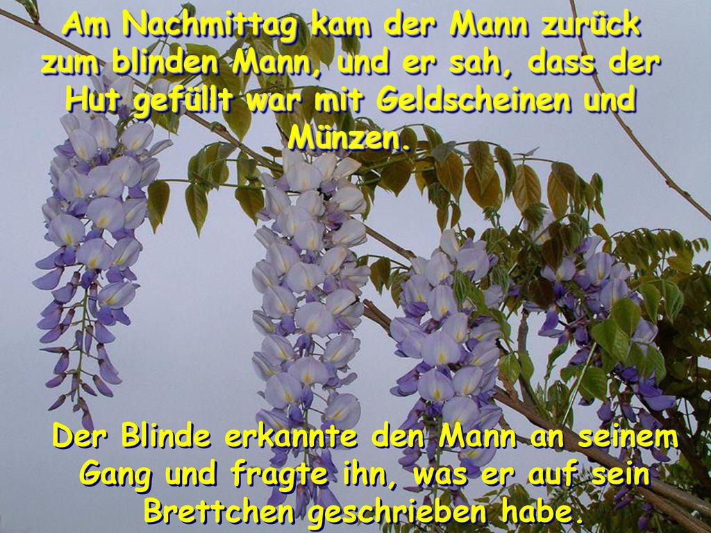 Am Nachmittag kam der Mann zurück zum blinden Mann, und er sah, dass der Hut gefüllt war mit Geldscheinen und Münzen.