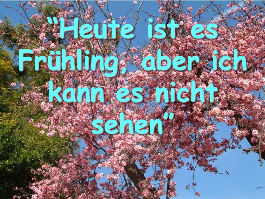 Heute ist es Frühling, aber ich kann es nicht sehen