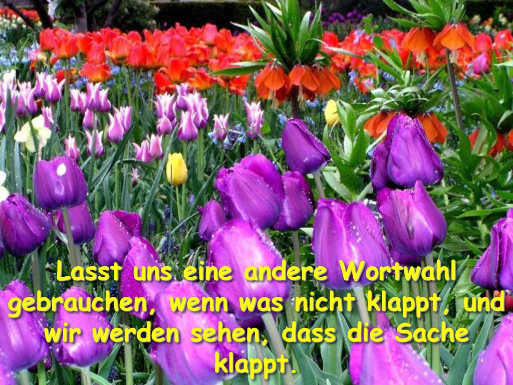 Lasst uns eine andere Wortwahl gebrauchen, wenn was nicht klappt, und wir werden sehen, dass die Sache klappt.