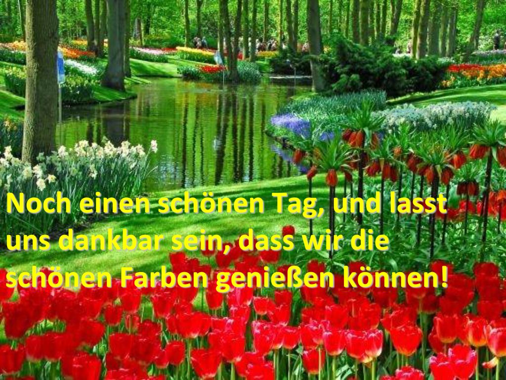 Noch einen schönen Tag, und lasst uns dankbar sein, dass wir die schönen Farben genießen können!
