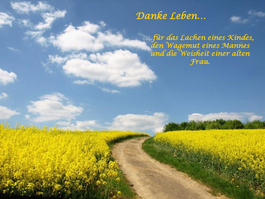 Danke Leben… …für das Lachen eines Kindes, den Wagemut eines Mannes und die Weisheit einer alten Frau.