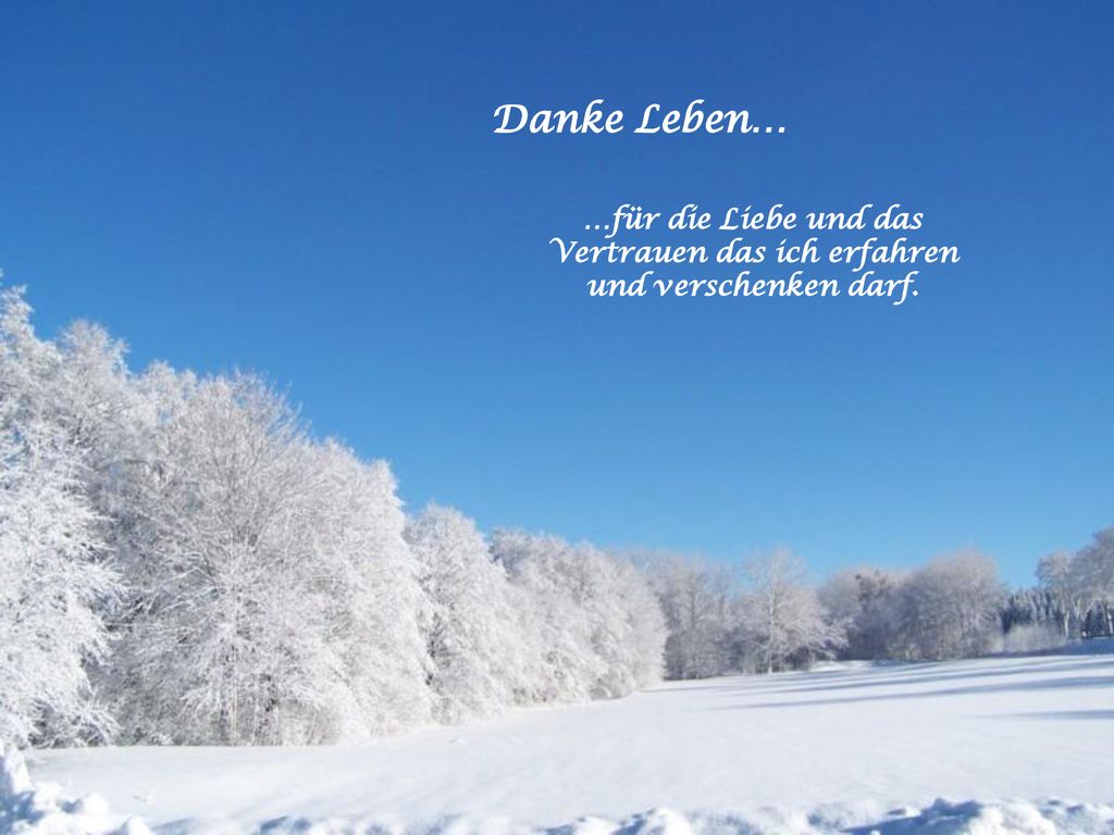 Danke Leben… …für die Liebe und das Vertrauen das ich erfahren und verschenken darf.