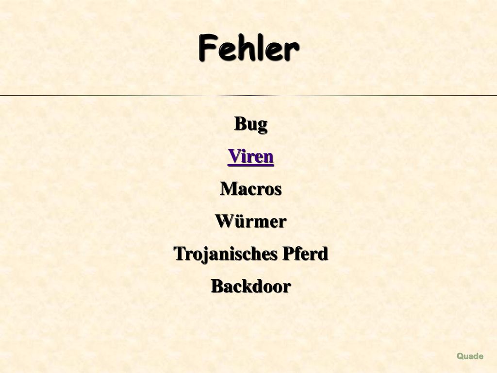Fehler Bug Viren Macros Würmer Trojanisches Pferd Backdoor Quade