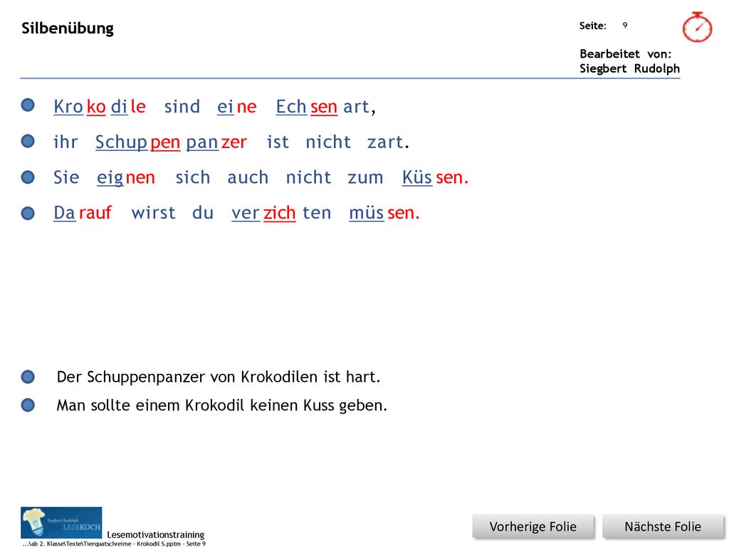 Kro ko di le sind ei ne Ech sen art, ihr Schup pen pan zer ist nicht