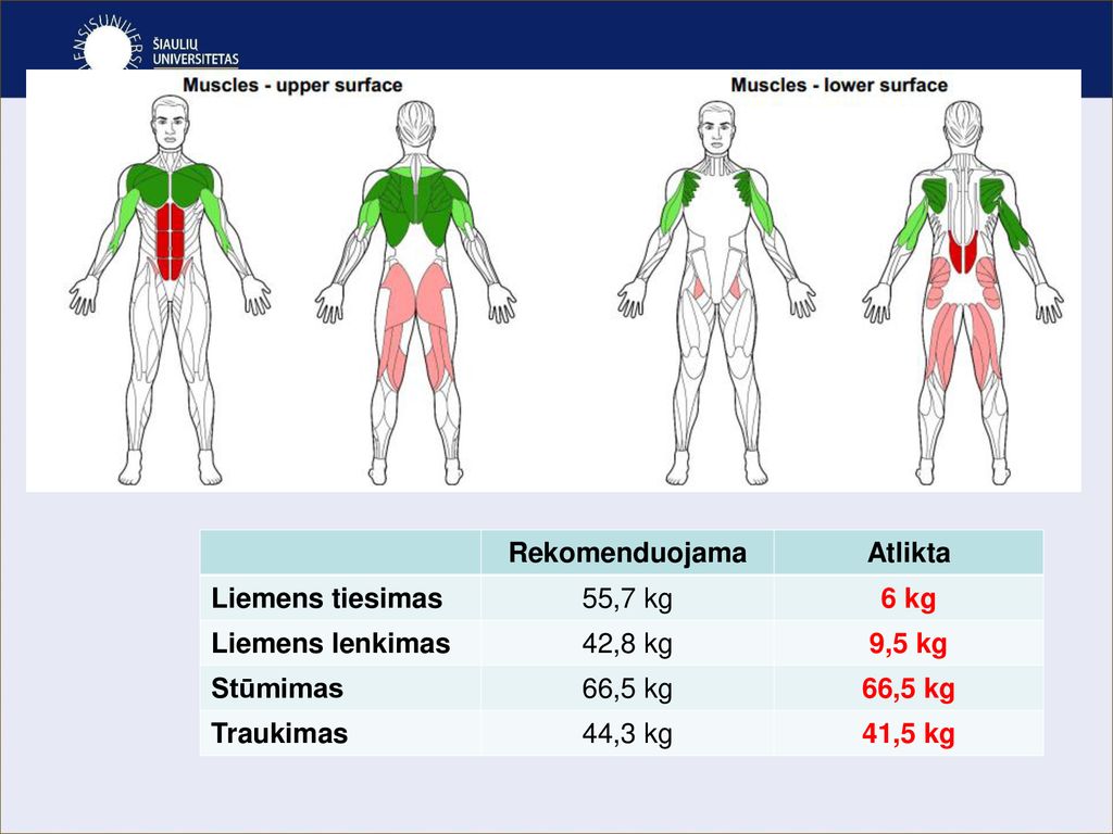 Rekomenduojama Atlikta. Liemens tiesimas. 55,7 kg. 6 kg. Liemens lenkimas. 42,8 kg. 9,5 kg. Stūmimas.