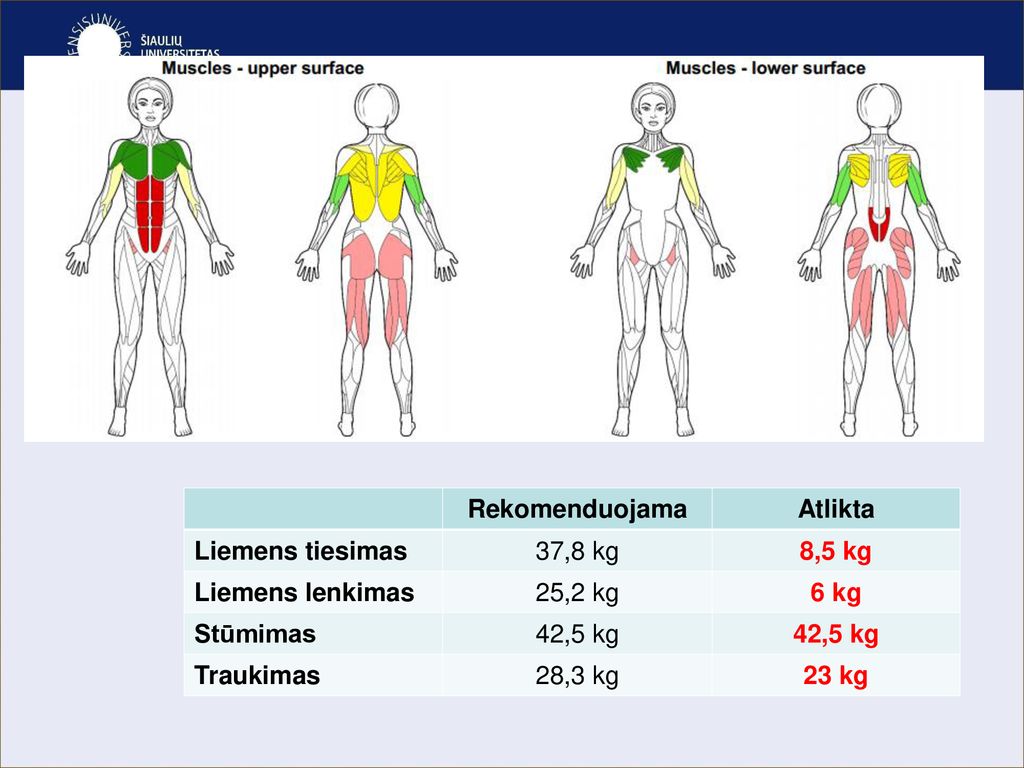 Rekomenduojama Atlikta. Liemens tiesimas. 37,8 kg. 8,5 kg. Liemens lenkimas. 25,2 kg. 6 kg. Stūmimas.