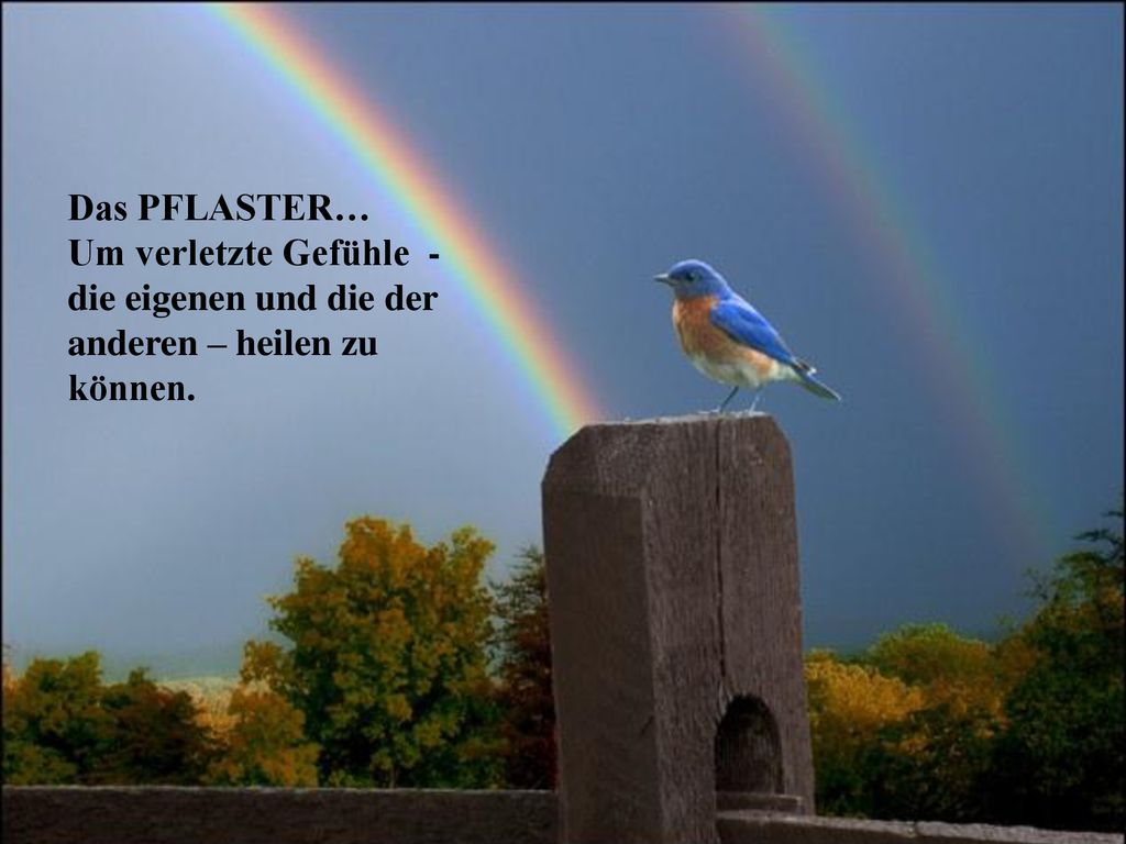 Das PFLASTER… Um verletzte Gefühle - die eigenen und die der anderen – heilen zu können.