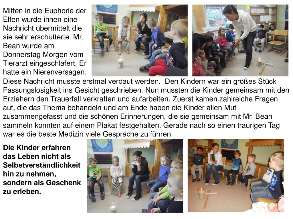 Mitten in die Euphorie der Elfen wurde ihnen eine Nachricht übermittelt die sie sehr erschütterte. Mr. Bean wurde am Donnerstag Morgen vom Tierarzt eingeschläfert. Er hatte ein Nierenversagen.