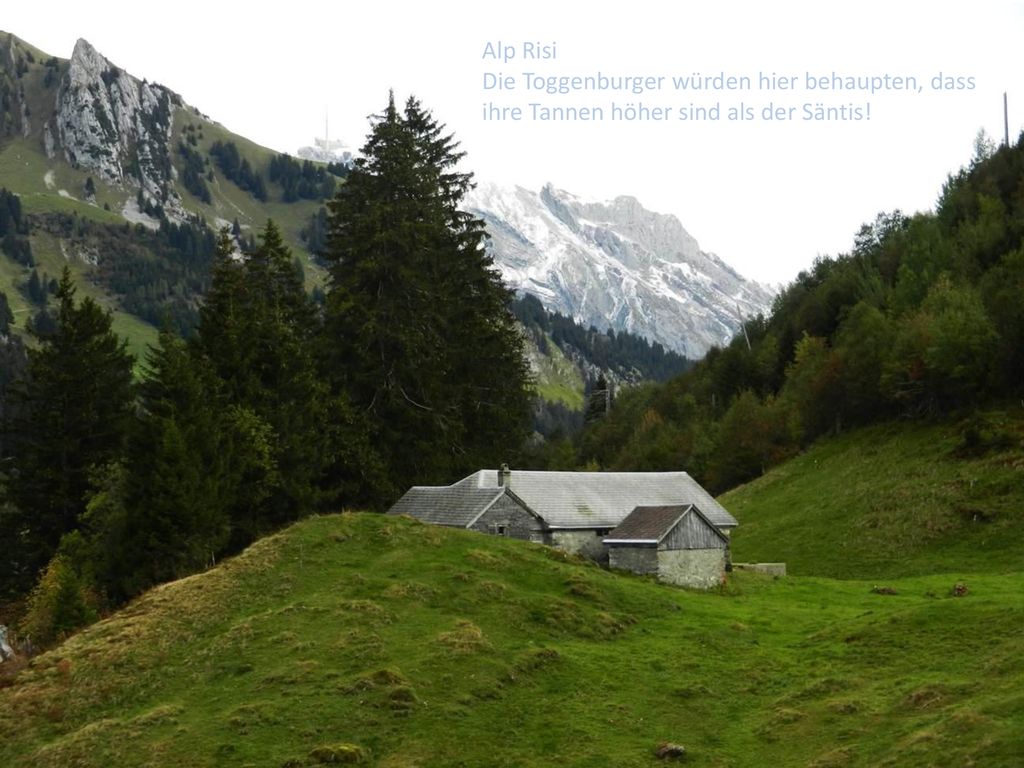 Alp Risi Die Toggenburger würden hier behaupten, dass ihre Tannen höher sind als der Säntis!