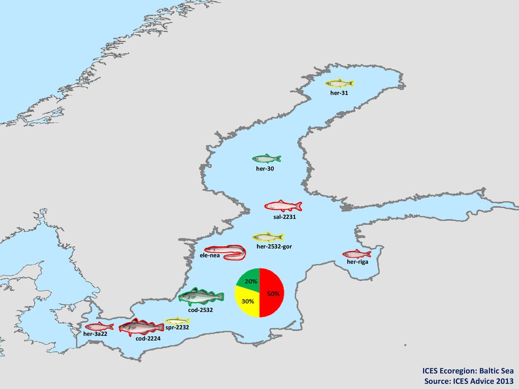 ICES Ecoregion: Baltic Sea Source: ICES Advice 2013