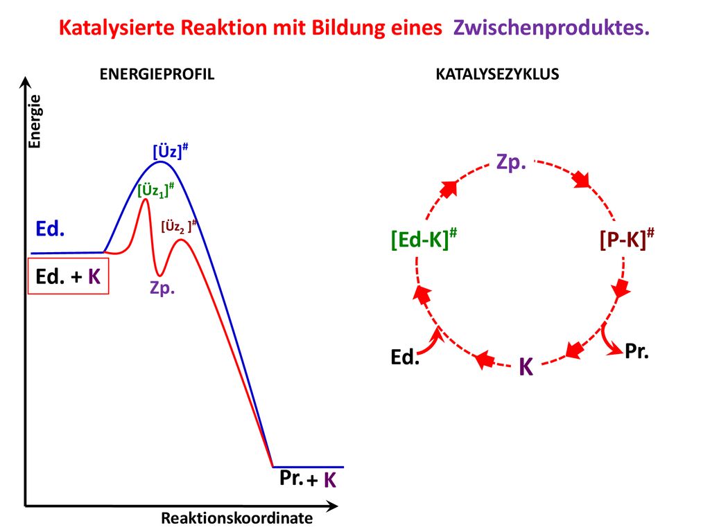K Katalysierte Reaktion mit Bildung eines Zwischenproduktes. Ed.