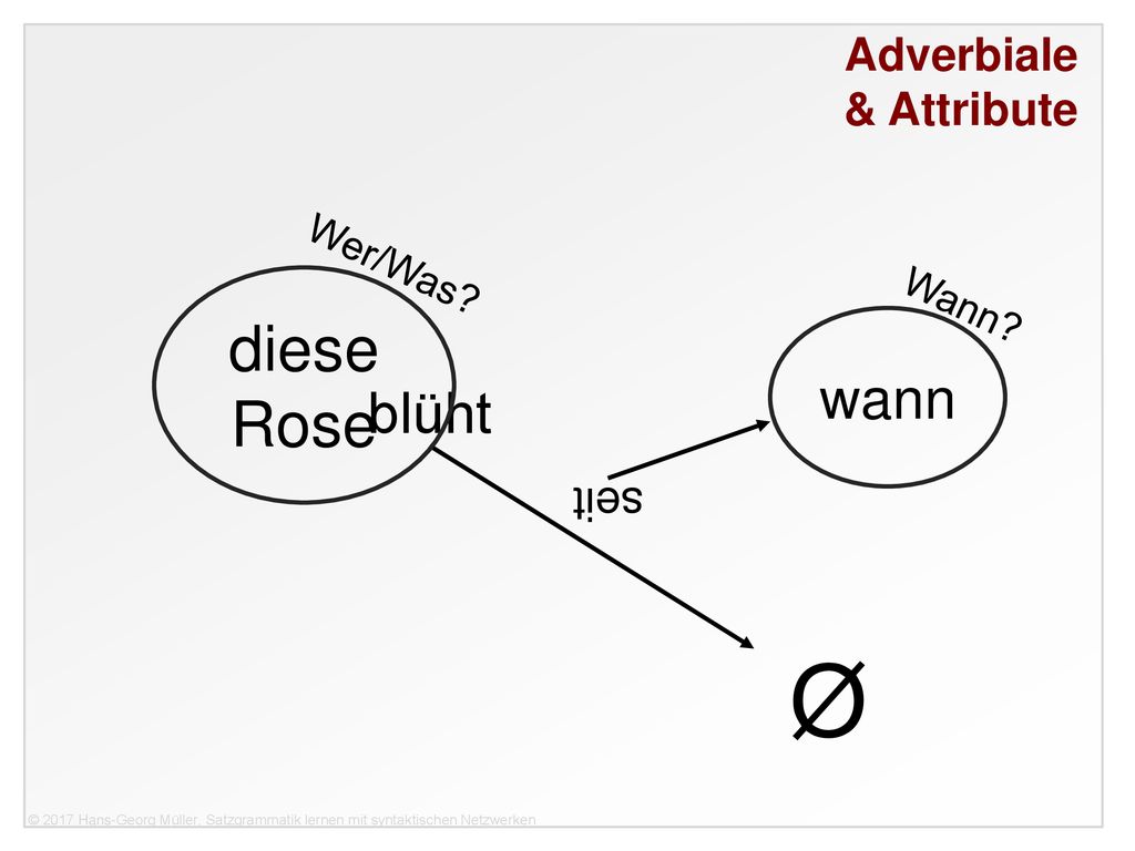 & Attribute Wer/Was diese Rose Wann wann seit blüht Ø