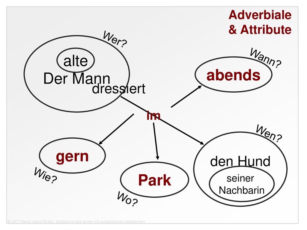 alte Der Mann abends gern Park dressiert den Hund & Attribute im Wer