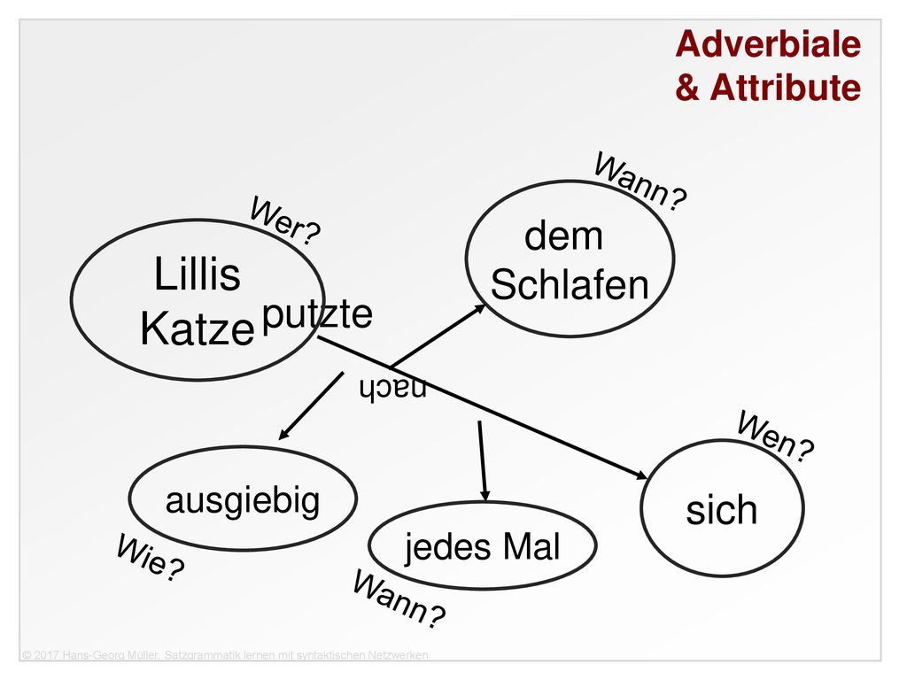 Lillis Katze dem Schlafen putzte sich & Attribute ausgiebig jedes Mal