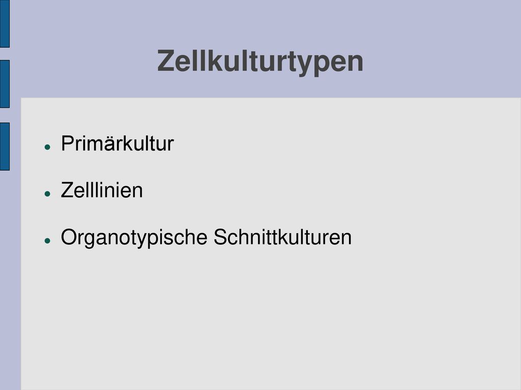 Zellkulturtypen Primärkultur Zelllinien Organotypische Schnittkulturen